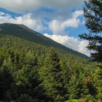 Στα «Απάτητα Βουνά» εντάσσεται το Μαίναλο