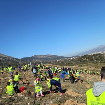 13.000 δέντρα φυτεύτηκαν στην παλαιά χωματερή
