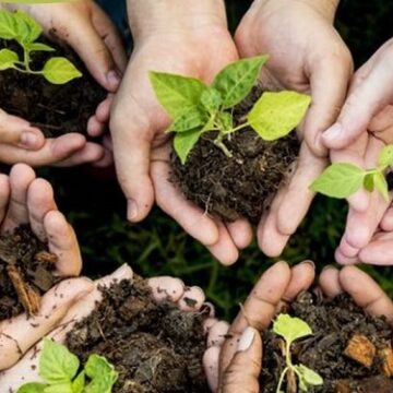 Μεγάλη αναδάσωση στην Ανθούσα