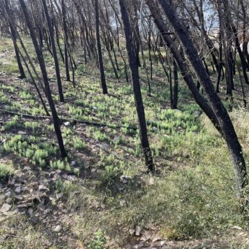 Ασφαλέστερος και πιο θωρακισμένος από φυσικές καταστροφές