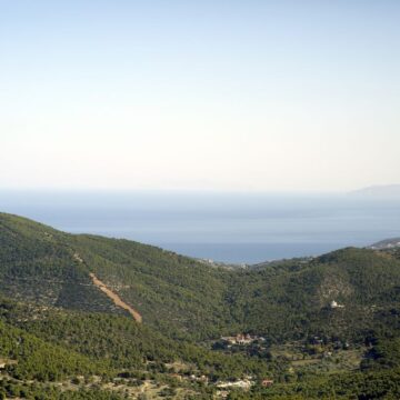 Έναρξη εγγραφών εθελοντών δασοφυλάκων για το δάσος Κουβαρά
