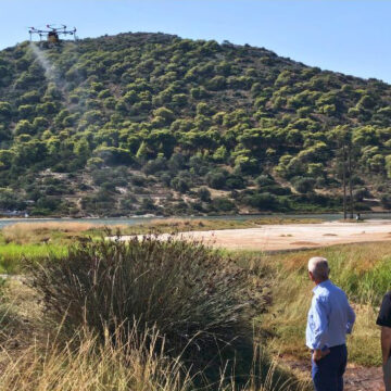 Παρουσιάστηκε η μέθοδος διαχείρισης του Ασιατικού κουνουπιού τίγρης
