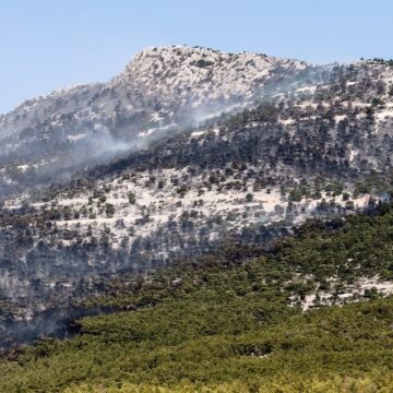 Συνδρομή στην αναδάσωση πάνω από 11.000 καμένων στρεμμάτων στην Πάρνηθα