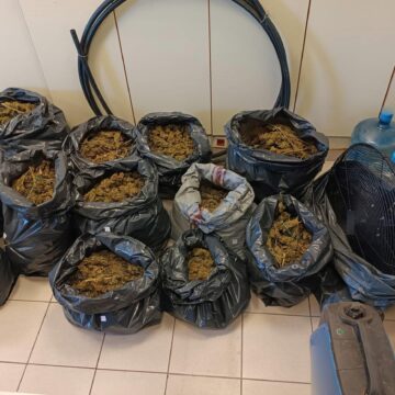 Συνελήφθη 34χρονη με 38 κιλά κάνναβης
