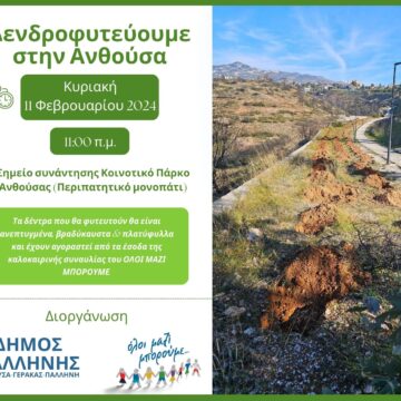 Μεγάλη δράση δενδροφύτευσης στην Ανθούσα