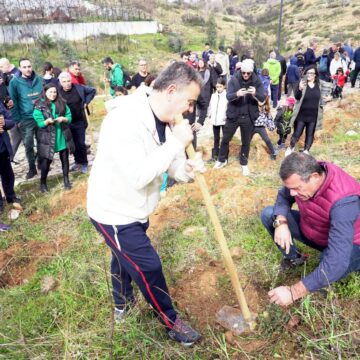 Με μεγάλη επιτυχία στέφθηκε η δράση δενδροφύτευσης στην Ανθούσα