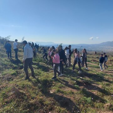 7η Δράση Εθελοντικής Αναδάσωσης (Μαθητική) στο Πεντελικό Όρος