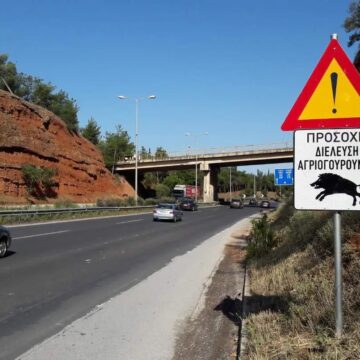 Συμμαχία για την προστασία της άγριας ζωής στην Αττική