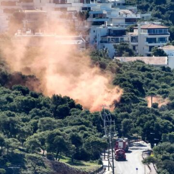 Ολοκληρώθηκε η μεγάλη τακτική άσκηση πεδίου δασικής πυρκαγιάς