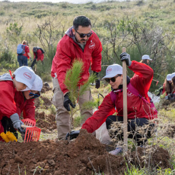 Εθελοντική δράση αναδάσωσης στην Αγία Τριάδα