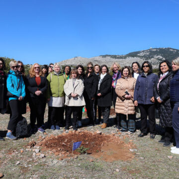 Συμβολική δενδροφύτευση στην Πάρνηθα από την Πρόεδρο της Δημοκρατίας