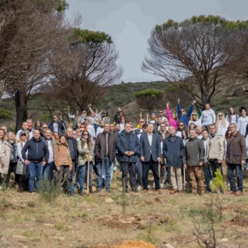 Νέα, μεγάλης κλίμακας αναδάσωση δίνει πνοή στην Πεντέλη