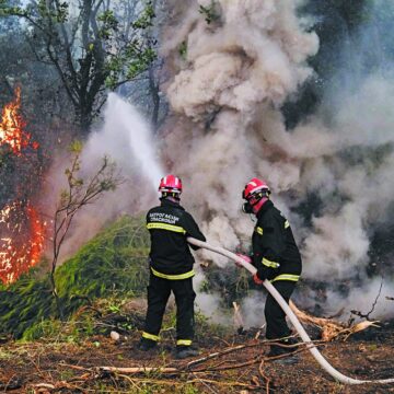 Νέο σχέδιο δράσης του Πυροσβεστικού Σώματος για τις πυρκαγιές