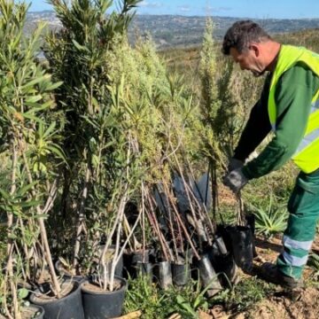 Συμμετοχή της Αττικής Οδού στο πρόγραμμα «Το δάσος μας»