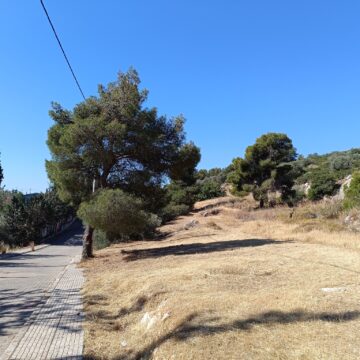 Προχωρά η αποψίλωση των κοινόχρηστων χώρων