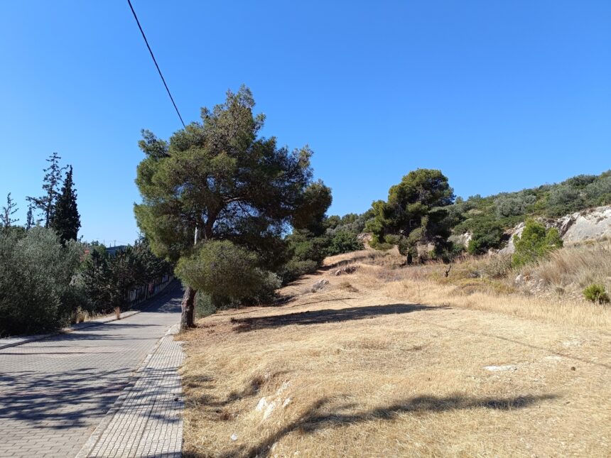 Προχωρά η αποψίλωση των κοινόχρηστων χώρων