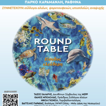 Posidonia Festival Rafina στις 24 και 25 Μαΐου