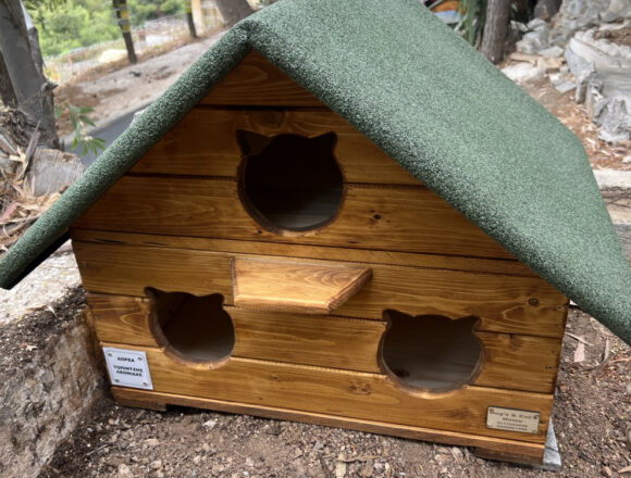 Δωρεά νέων σπιτιών στις αδέσποτες γάτες