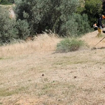 Διπλή παράταση στις προθεσμίες για τους καθαρισμούς οικοπέδων