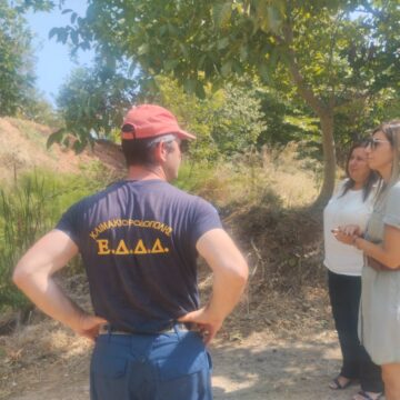 Εκτεταμένη αυτοψία τριών ρεμάτων