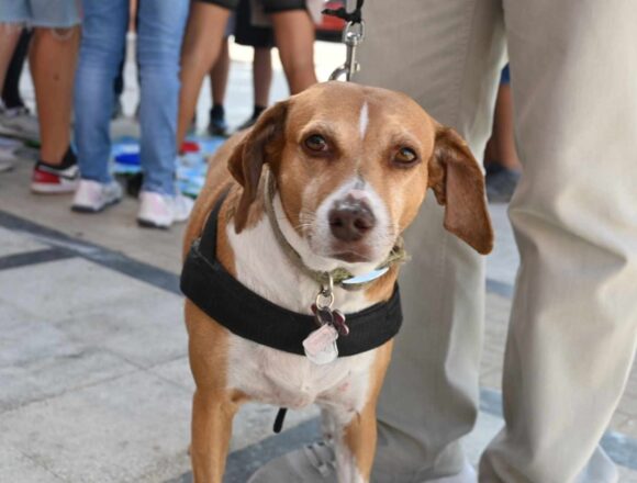 Εκδήλωση του Δήμου Αχαρνών με τη συμμετοχή σχολείων της πόλης