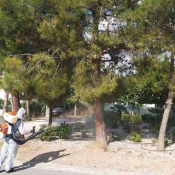 Δράση καταπολέμησης της κάμπιας σε κοινόχρηστους χώρους