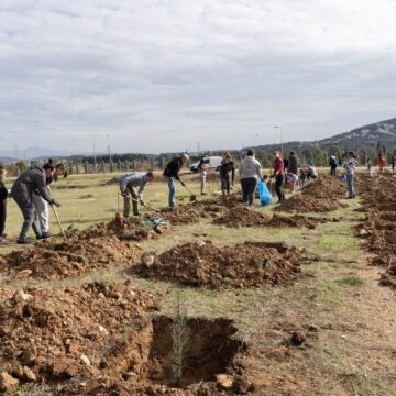 Δενδροφύτευση με μεγάλη συμμετοχή και ενθουσιασμό