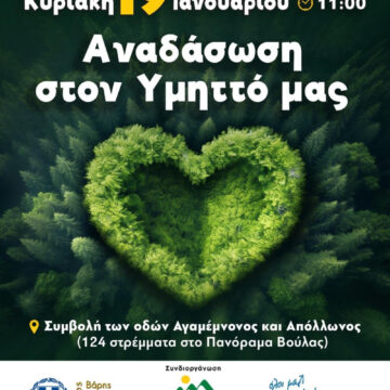 Μεγάλη δεντροφύτευση στα 124 στρέμματα στο Πανόραμα της Βούλας