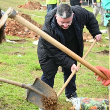 Μεγάλη δενδροφύτευση περιμετρικά του Λόφου των Σαράντα Μαρτύρων