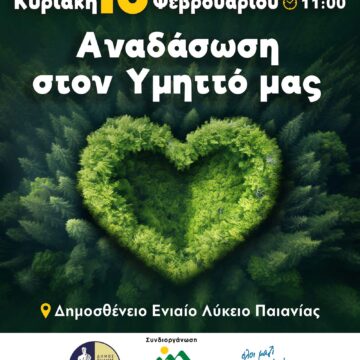 Μεγάλη αναδάσωση την Κυριακή 16 Φεβρουαρίου