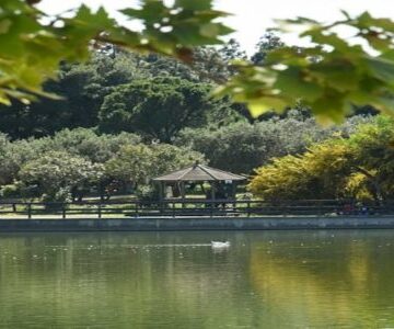 Ανοικτή διαβούλευση για την πλήρη αναβάθμιση των τριών μητροπολιτικών πάρκων της Αττικής