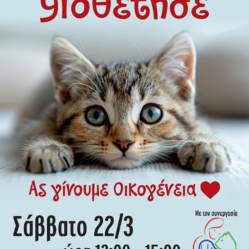 Ημέρα υιοθεσίας γάτας στον Δήμο Βάρης Βούλας Βουλιαγμένης