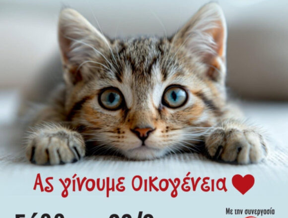 Ημέρα υιοθεσίας γάτας στον Δήμο Βάρης Βούλας Βουλιαγμένης