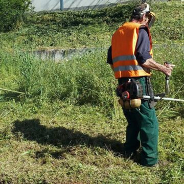 Υποχρεωτικός καθαρισμός οικοπέδων από τους ιδιοκτήτες