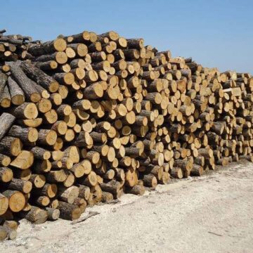 Διανομή καυσόξυλων σε ευπαθείς πολίτες του Δήμου