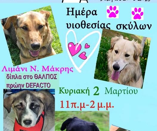 Ημέρα υιοθεσίας σκύλων στο λιμανάκι Νέας Μάκρης