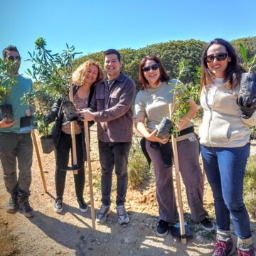 Δενδροφύτευση στο Μαύρο Λιθάρι