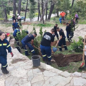 Δράση δενδροφύτευσης στις περιοχές Ροδόπολης και Σταμάτας