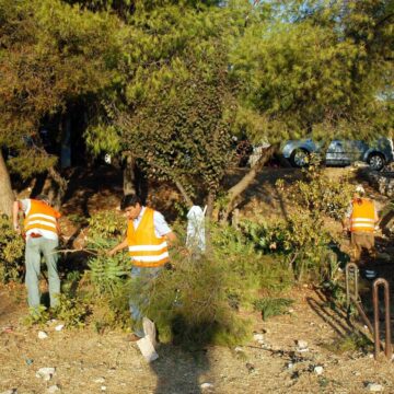 Παράταση ως 15 Ιουνίου για τις δηλώσεις καθαρισμού οικοπεδικών χώρων