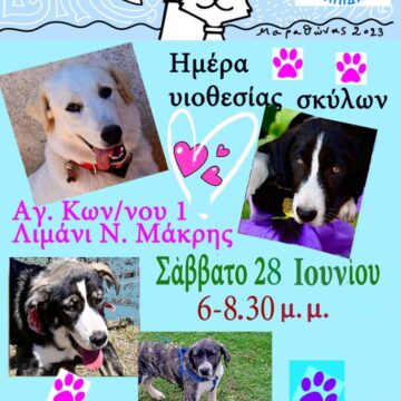 Ημέρα υιοθεσίας αδέσποτων σκύλων στο Λιμανάκι της Νέας Μάκρης