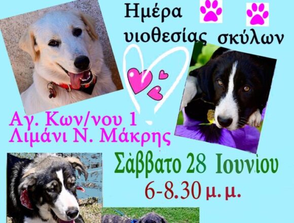 Ημέρα υιοθεσίας αδέσποτων σκύλων στο Λιμανάκι της Νέας Μάκρης