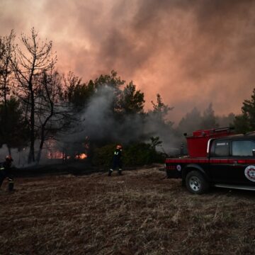 Κάηκε ένα μεγάλο μέρος του δάσους από τη φωτιά