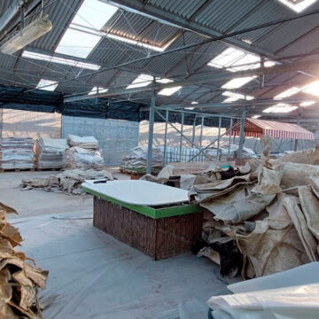 Πώς δρούσε το κύκλωμα με την κοκαΐνη σε αποξηραμένα δέρματα