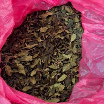 Μισός τόνος φυσικής κόκας κατασχέθηκε στο Ελ. Βενιζέλος