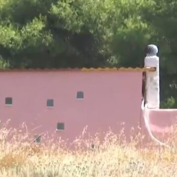 Έξι συλλήψεις μελών της τουρκικής μαφίας