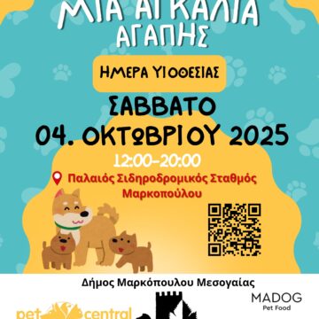 Ημέρα Υιοθεσίας στον παλαιό Σιδηροδρομικό Σταθμό