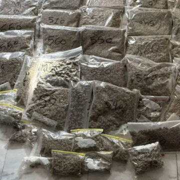 Εντοπίστηκαν περισσότερα από 22 κιλά κάνναβης