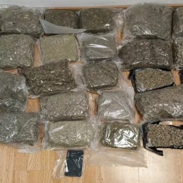 28χρονος προσπάθησε να περάσει 19 κιλά κάνναβης μέσα σε βαλίτσα