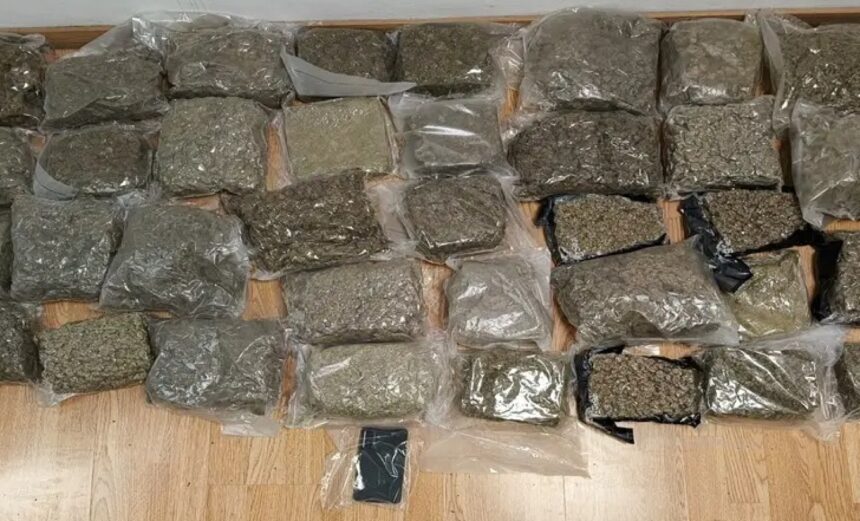 28χρονος προσπάθησε να περάσει 19 κιλά κάνναβης μέσα σε βαλίτσα