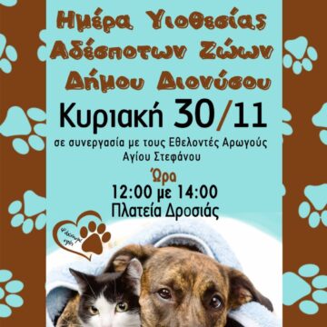 Ημέρα υιοθεσίας αδέσποτων ζώων στην πλατεία Δροσιάς